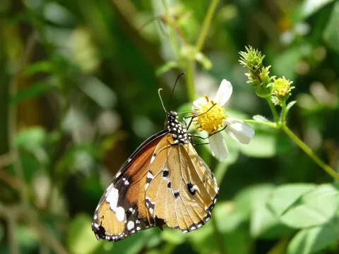 iOS APP 下载二维码